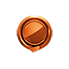 Bronze Medal