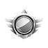 Silver Medal