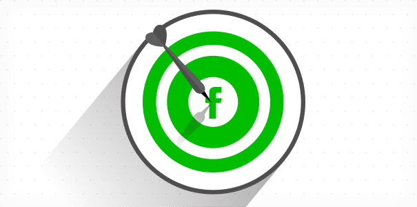 Fully Targeted Social Media Campaigns – Facebook